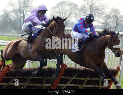 Lauch Wooton Novizen Handicap Hurdle Stockfoto