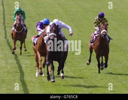 Newmarket Racing Stockfoto