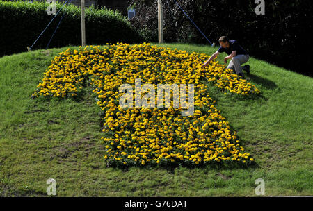 Radfahren - Tour de France Previews - Tag zwei. Ein gelbes Trikot aus französischen Ringelblumen auf der Route der Tour de France bei Harrogate. Stockfoto