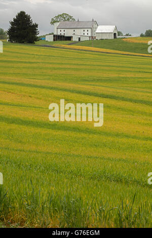 Country side, farm land, Maryland Stockfoto