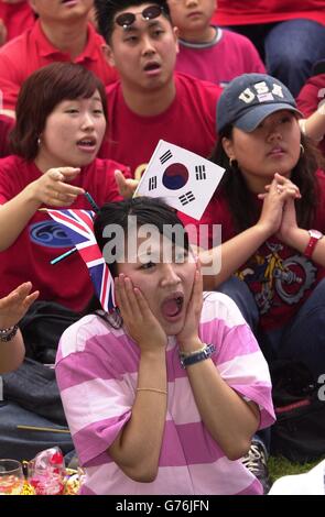 Korea-Fußball-Fans Stockfoto