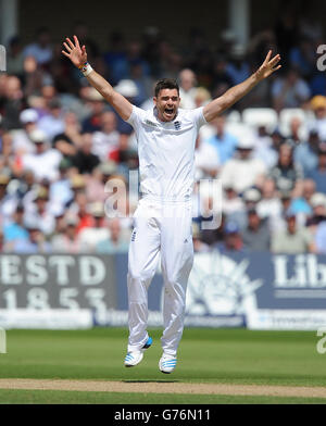 Der englische James Anderson appelliert am zweiten Tag des ersten Investec-Testmatches in Trent Bridge, Nottingham, gegen Indien. Stockfoto