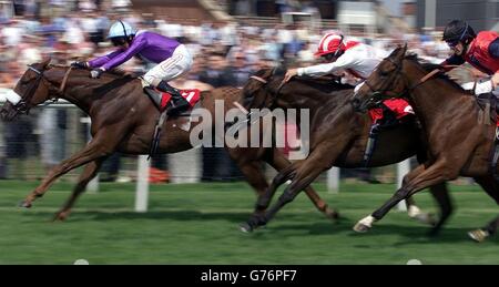 Speed Cop geritten von Martin Dwyer (L) kommt in den Stan James St Hugh's Stakes Rennen vor Wimple von BrettDoyle in Newbury geritten zu gewinnen. Stockfoto