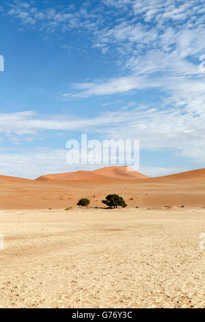 Roten Sanddüne, Deadvlei, Namibia Wüstenlandschaft. Stockfoto