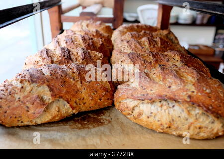 Eine Nahaufnahme von rustikalen kernigen Brote frisch aus dem Ofen auf Sweetdough, Hove, East Sussex, UK Stockfoto