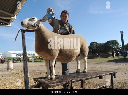 Great Yorkshire Show Stockfoto