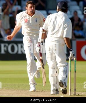 Englands Steve Harmiston feiert nach dem Bowling Indiens Harbhajan Singh für 1, während des fünften Tages des zweiten npower Test zwischen England und Indien in Trent Bridge, Nottingham. Stockfoto