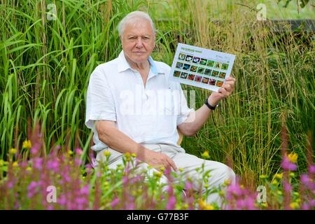 Sir David Attenborough startet den diesjährigen nationalen „Big Butterfly Count“ im Londoner Wetland Centre im Westen Londons. Stockfoto