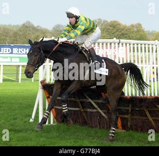 Baracouda mit Thiery Doumen nimmt die letzte Hürde auf dem 2. Platz, 15 Längen hinter Mr Cool von Tony McCoy und fängt ihn auf der Flucht um einen Hals im Price Waterhousecoopers Ascot Hürdenlauf in Ascot zu gewinnen. Stockfoto