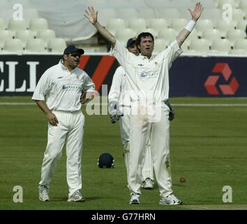 Unterwürfiger Essex-Kapitän Ronnie Irani appelliert vergeblich, John Steele zu schmeissen, nachdem Irani dachte, er habe Warwickshires Dominic Ostler am ersten Tag des Frizzell County Championship-Spiels in Edgbaston, Birmingham, rausgekommen. Stockfoto