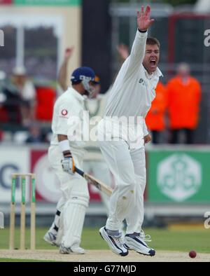 Simbabwes Heath Streak appelliert am ersten Spieltag im zweiten n-Power-Testspiel gegen Simbabwe auf dem Riverside Ground in der Chester le Street erfolglos für lbw gegen Mark Butcher. Stockfoto