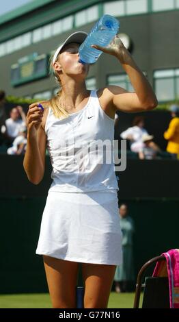 Wimbledon Sharapova V Harke Stockfoto