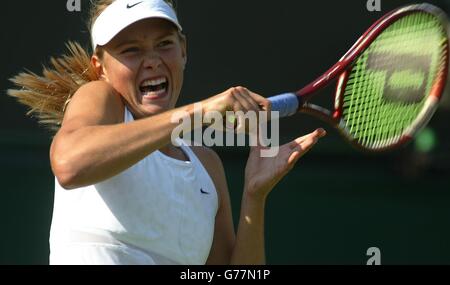 NUR ZUR REDAKTIONELLEN VERWENDUNG, NICHT ZUR VERWENDUNG AUF MOBILTELEFONEN Maria Sharapova aus Russland im Kampf gegen Ashley Harkelroad aus den USA bei den All England Lawn Tennis Championships in Wimbledon. Stockfoto