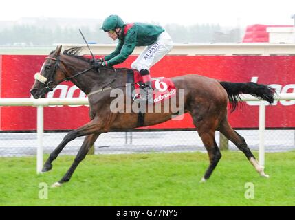 Horse Racing - 2014-Sommerfest - Tag 6 - Galway Rennbahn Stockfoto