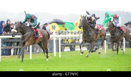 Horse Racing - 2014-Sommerfest - Tag 6 - Galway Rennbahn Stockfoto