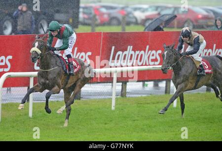 Horse Racing - 2014-Sommerfest - Tag 6 - Galway Rennbahn Stockfoto