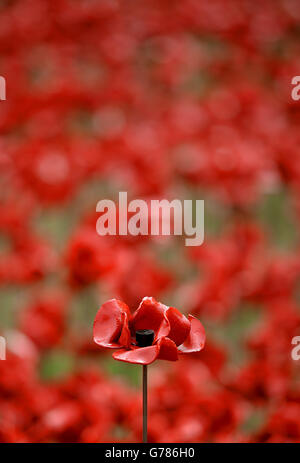 Eine Keramik-Mohnblume im Fokus der Mohn-Installation des Tower of London, die an den 100. Jahrestag des Ausbruchs des Ersten Weltkriegs erinnert. Stockfoto