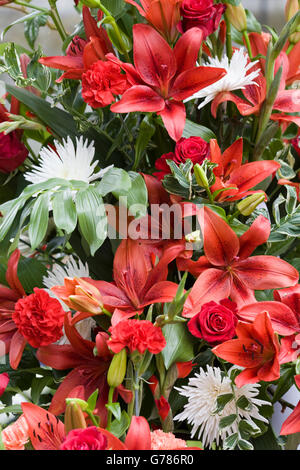 Anzeige der Schraubenset Schnittblumen frisch Stockfoto