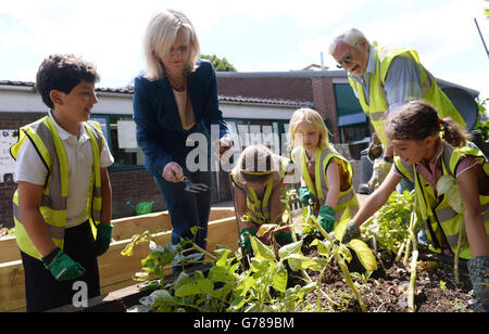 Umweltsekretärin Elizabeth Truss trifft Schüler an der Barnes Primary School in West-London, wo sie einen neuen Regierungsplan aufstellte, um mehr lokale Lebensmittel zu beschaffen und an Schulen und Krankenhäusern anzubau zu machen. Lamm schmackhafter zu essen und neue Erdbeeren ohne Erde anzubauen, gehören zu den Forschungsprojekten, die einen Anteil von fast &ACIRC;£18 Millionen erhalten, teilte Downing Street mit. 17/7/2014 Stockfoto