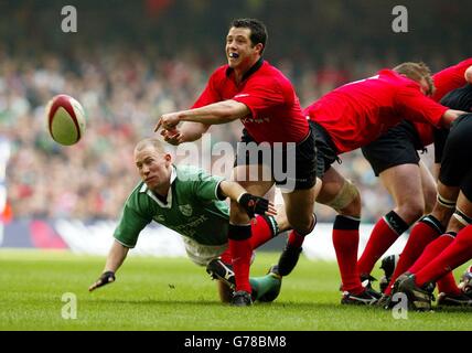 RBS 6 Nations Wales / Irland Stockfoto