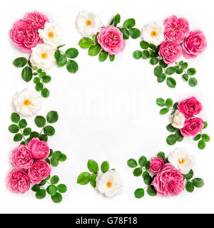 Weiß-rosa Rosenblüten mit grünen Blättern. Blumenkarte flach legen Stockfoto