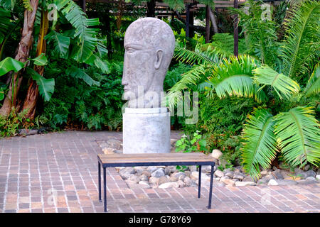 Der Astronom Kopf Skulptur aus Stein von Anton Smit, Stellenbosch University Botanical Garden, Südafrika Stockfoto