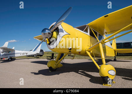 Fairchild F.24W-46 Argus, CF-DRW, Wings over Springbank, Springbank Airshow, Alberta, Kanada Stockfoto