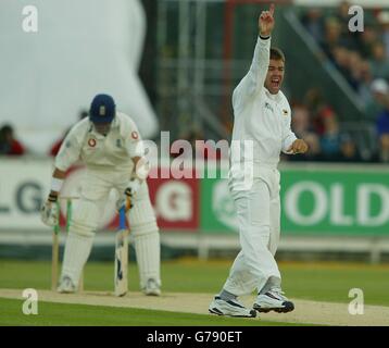 Simbabwes Heath Streak appelliert erfolgreich für eine LBW-Entscheidung gegen Alec Stewart während des zweiten Spieltages im zweiten npower-Testspiel zwischen England und Simbabwe am Flussufer in Chester Le Street, County Durham. Stockfoto