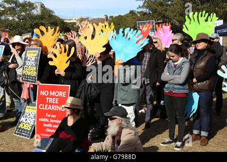 Sydney, Australien. 26. Juni 2016. Rallye für den Klimaschutz in der australischen Premierministers eigenen Nachbarschaft von Double Bay in Sydney. Steyne Park, Ocean Avenue, Double Bay. Im Bild: Demonstranten halten bunte korallene Formen repräsentieren das Great Barrier Reef. Bildnachweis: Richard Milnes/Alamy Live-Nachrichten Stockfoto