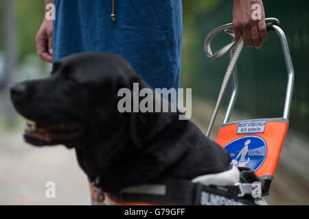 Berlin, Deutschland. 22. Juni 2016. Blinde Silke Rauterberg und ihrem Labrador Blindenhund in Berlin, Deutschland, 22. Juni 2016. Foto: KLAUS-DIETMAR GABBERT/Dpa/Alamy Live News Stockfoto