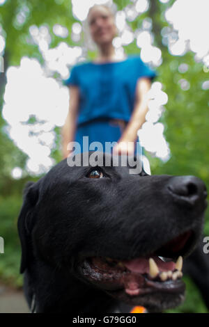 Berlin, Deutschland. 22. Juni 2016. Blinde Silke Rauterberg und ihrem Labrador Blindenhund in Berlin, Deutschland, 22. Juni 2016. Foto: KLAUS-DIETMAR GABBERT/Dpa/Alamy Live News Stockfoto