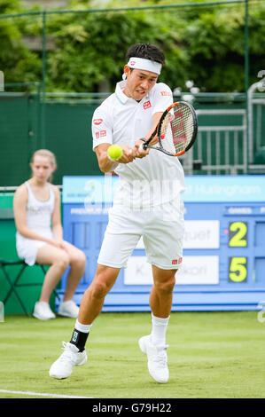 London, UK. 23. Juni 2016. : Kei Nishikori (JPN) Kei Nishikori Japans während der Herren-Einzel-Ausstellung Tennismatch des Tennis Classic in Hurlingham gegen Richard Gasquet aus Frankreich im Hurlingham Club in London, England. © AFLO/Alamy Live-Nachrichten Stockfoto