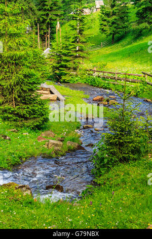 schmalen Bach mit Felsen und grünen Rasen auf beiden Seiten des Waldes Stockfoto