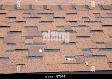 Blick vom Dach Schindeln Closeup braun mit ein paar gelben Herbstlaub auf der Oberfläche. Selektiven Fokus mit einem unscharfen Hinterg Stockfoto