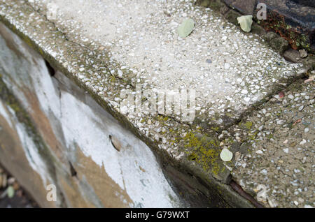 Blick von oben auf einer Diagonale auf einem Fragment einer alten Beton Mauer aus Marmor-chips mit Rissen und Moos bedeckt mit flachen de Stockfoto