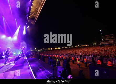 V Festival 2014 Tag zwei - Chelmsford Stockfoto