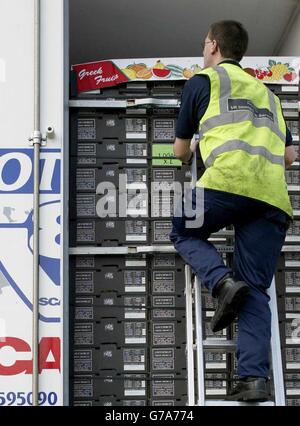 Britische Immigrationsbeamte durchsuchen den Inhalt von Lastkraftwagen im französischen Hafen von Calais, um die Anzahl der illegal ins Vereinigte Königreich einreisen zu verringern. Stockfoto