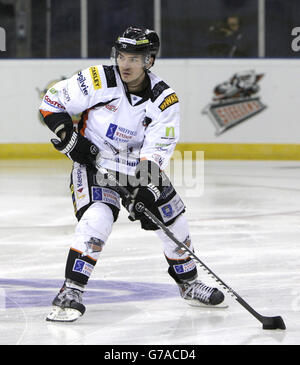 Eishockey - Rapid Solicitors Elite Ice Hockey League - 2014 Play offs - Finale - Belfast Giants gegen Sheffield Steelers - Capita. Chad Langlais, Sheffield Steelers Stockfoto