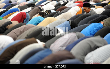 Jalsa dieses 2014 Stockfoto