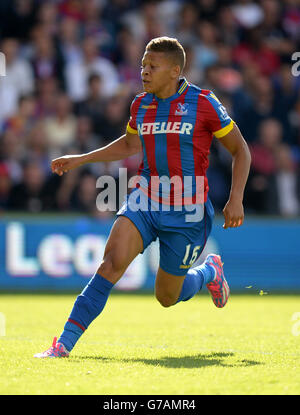 Dwight Gayle von Crystal Palace während des Spiels der Barclays Premier League im Selhurst Park, London. DRÜCKEN SIE VERBANDSFOTO. Bilddatum: Samstag, 23. August 2014. Siehe PA Geschichte SOCCER Palace. Bildnachweis sollte lauten: Andrew Matthews/PA Wire. Stockfoto