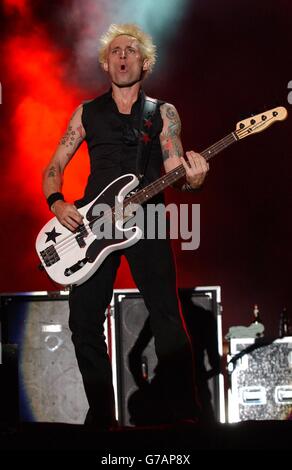 Mike Dirnt vom Green Day am Carling Weekend: Reading Festival in Reading. Stockfoto