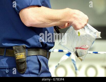 Die Polizei stellt ein Objekt von der Themse in Walton auf der Themse wieder her, während sie die Suche nach Beweisen im Zusammenhang mit dem Mord an Amelie Delagrange fortsetzt. Stockfoto