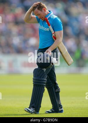 Der englische Eoin Morgan kehrt zum Pavillon zurück, nachdem er von der indischen MS Dhoni beim fünften ODI im Headingley Carnegie Stadium in Leeds vom Bowling des indischen Ravichandran Ashwin gestolpert wurde. Stockfoto