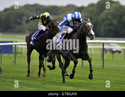 Kickboxer mit Luke Morris gewinnt das Betfred Mobile Be Friendly Handicap während des Betfred Sprint Cup Festivals auf der Haydock Park Racecourse, Newton-le-Willows. Stockfoto