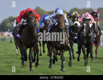 G Force und Daniel Tudhope (Mitte in Blau) gewinnen den Betfred Sprint Cup während des Betfred Sprint Cup Festivals auf der Haydock Park Racecourse, Newton-le-Willows. Stockfoto