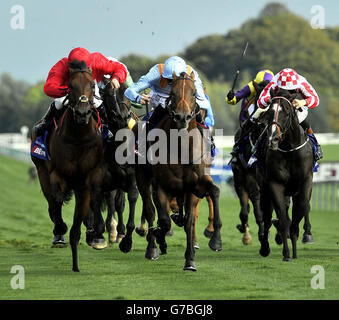 G Force mit Daniel Tudhope (in der Mitte blau) gewinnt den Betfred Sprint Cup während des Betfred Sprint Cup Festivals auf der Haydock Park Racecourse, Newton-le-Willows. Stockfoto