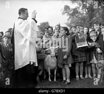 Kinder und ihre Haustiere versammeln sich um Pfarrer Rev Idwal Jones, während die Tiere bei einem Freiluftgottesdienst der St. Mary the Virgin Church in Cuddington, Worcester Park, gesegnet werden. Der Gottesdienst wurde anlässlich des Jahrestages des hl. Franz von Assisi, schutzpatron der Tiere, abgehalten. Mitgebrachte Haustiere waren Hunde, Vögel, Schildkröten, Hühner, Ziegen und Goldfische. Stockfoto