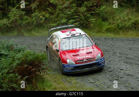 Wales Rally Großbritannien. Sebastien Loeb fährt mit seinem Stadtauto durch die Trawscoed Super special Stage, während der Wales GB Rally in der Nähe von Llandovery. Stockfoto