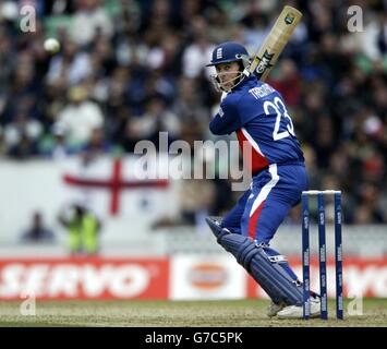 ICC Champions Trophy Finale Stockfoto