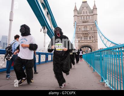Die Läufer des Great Gorilla Run in London überqueren die Tower Bridge im Zentrum von London während des 8 km langen Laufs, der Geld für Gorilla-Naturschutzprojekte sammeln soll. Stockfoto